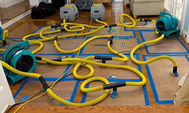 Professional Water Damage Repair technician working in Brookline, MA